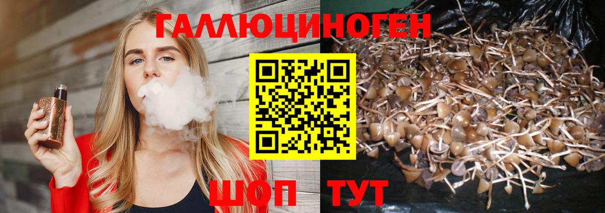 Альметьевск  Галлюциногенные грибы MAGIC MUSHROOMS  Вход с VPN 